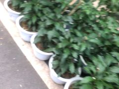 -天怡·鱼工厂(梅溪湖店)