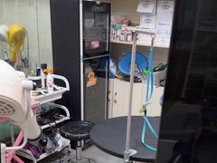 -安琪娜动物医院•健康管理•骨科•急重症诊疗中心
