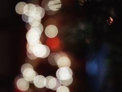 -玛格萝妮(汇智国际商业中心店)