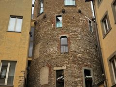 -圣母百花大教堂穹顶