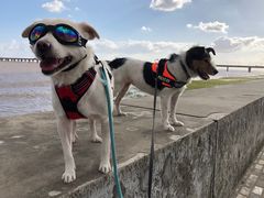 -南汇嘴观海公园