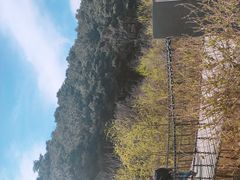 -青龙山风景区