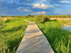 -野鸭湖国家湿地公园