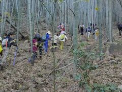 -四明山国家森林公园