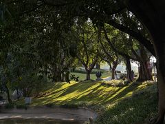 -广州雕塑公园