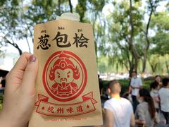 -西湖外事游船(花港观鱼码头)