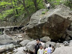 -洛阳白云山景区