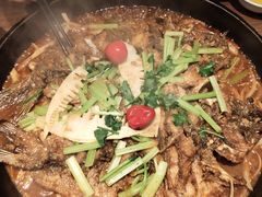 -老板恋上鱼(印象城店)