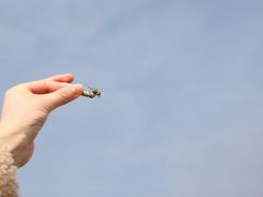 -红树林天天赶海