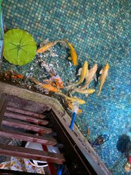 -酷嗒动物文化乐园(cutezoo西溪乐天城店)