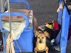 -太二酸菜鱼(汕头苏宁广场店)