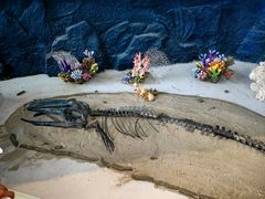 -上海中国航海博物馆