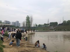 -洨河生态公园