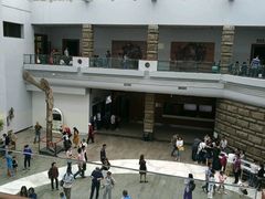 -自贡恐龙博物馆