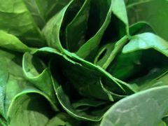 -南门四季铜锅涮肉(大屯·北苑店)