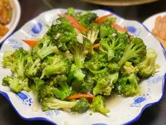 -广发草原蒙古部落