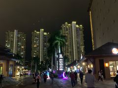 -三亚湾红树林度假世界(木棉酒店)