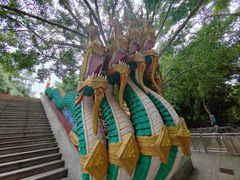 -西双版纳勐泐文化旅游区