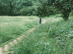 -杭州植物园