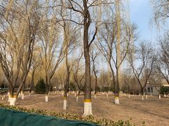 -东升八家郊野公园