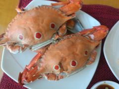 -视界美食自助餐厅·石家庄希尔顿酒店