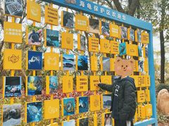 -广东惠东海龟国家级自然保护区