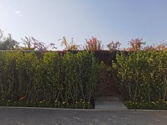 -燕郊植物园