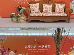 -上海鲜花港