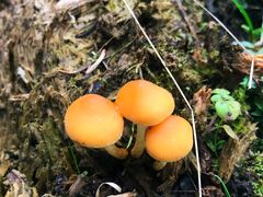 -硗碛藏寨·神木垒景区