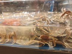 -亚马逊海鲜自助(梅溪湖步步高店)