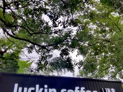 -同济大学(嘉定校区)