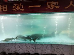-年辉渔村·非遗传承餐厅(新丰江店)