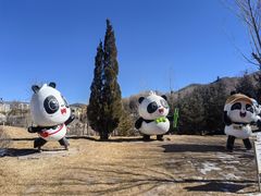 -青藏高原野生动物园