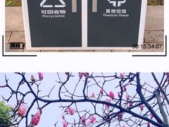 -重庆市江北嘴中央商务区中央公园