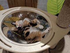 -么么咖啡(燕郊店)