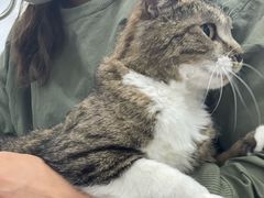 -爱洗澡的猫(望京店)