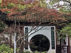 -上海醉白池公园