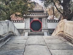 -颐和园