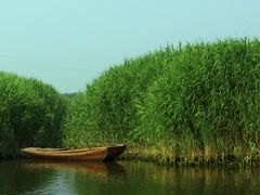 -白洋淀风景区