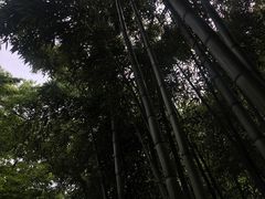 -西湖天地