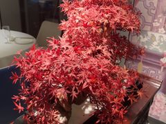 -顺峰(农展馆店)