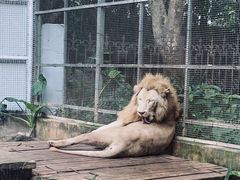 -南宁市动物园