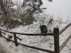 -峨眉山风景名胜区