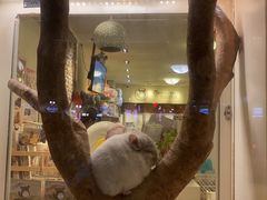 -龙猫仔乐园(惠福东路店)