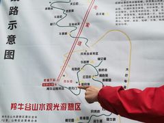 -牛背梁国家森林公园