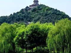 -北坞公园