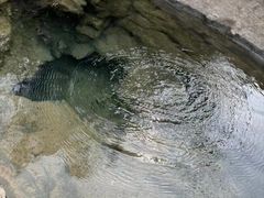 -宝泉胜境旅游度假区