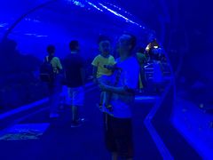 -成都浩海立方海洋公园