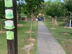 -上海长兴岛郊野公园