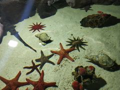 -福州罗源湾海洋世界旅游区